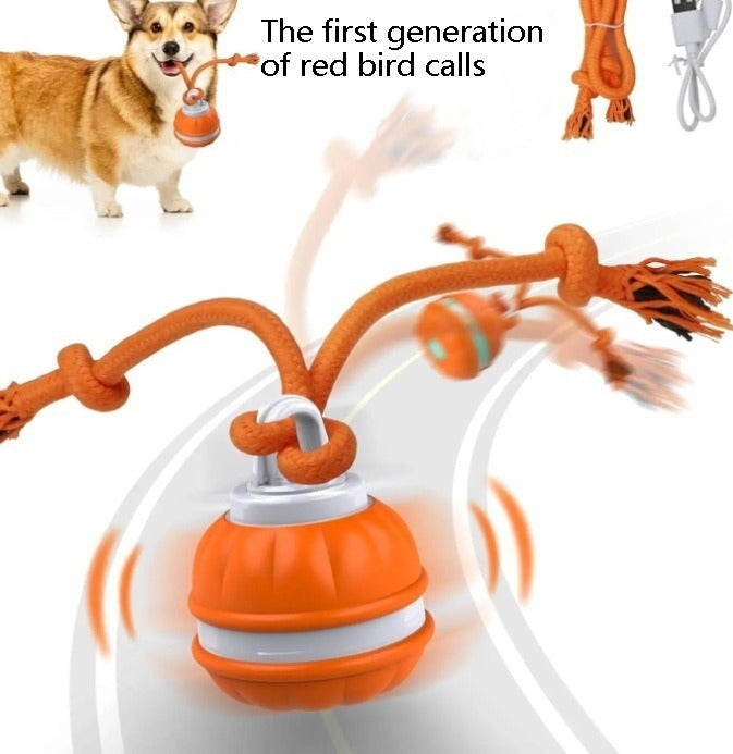 Interactive Rolling Pet Ball Toy – USB Rechargeable Cat & Dog Play Ball