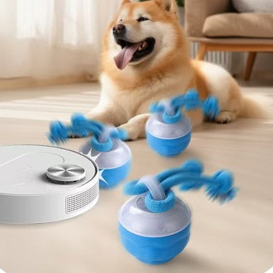 Interactive Rolling Pet Ball Toy – USB Rechargeable Cat & Dog Play Ball